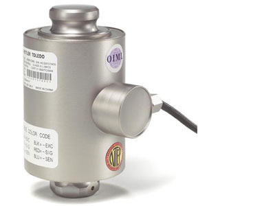 ������Q�؂�����